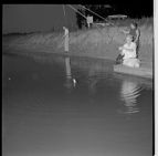 Pulling up fish